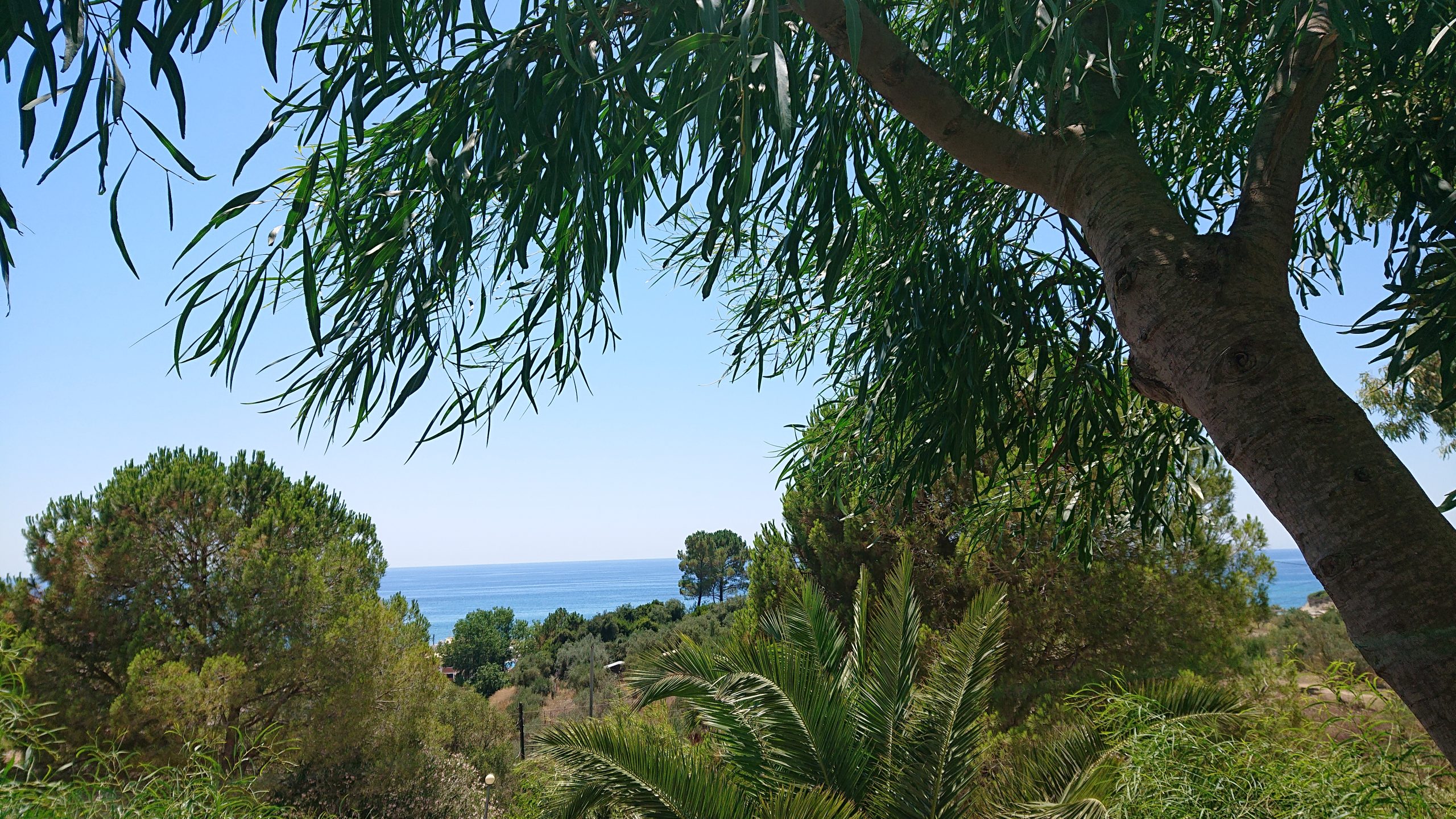 DSC_7099